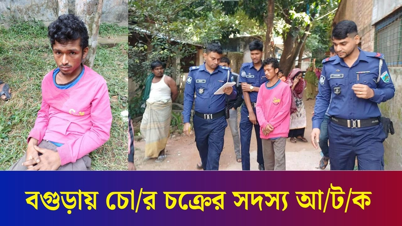 বগুড়ার সূত্রাপুরে আন্তঃজেলা চো-র চক্রের এক সদস্য আটক | Daily Karatoa